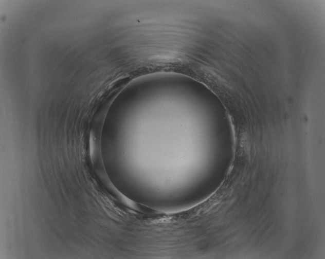 X0000070880868200606231340