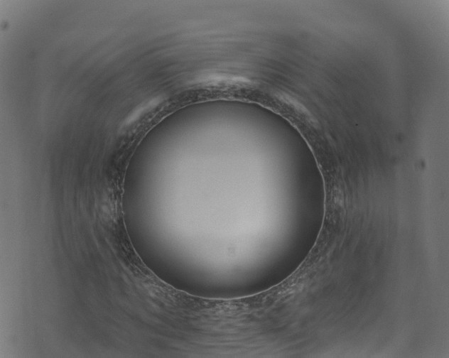 X0000070880869200606231340