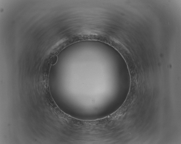 X0000070880870200606231340