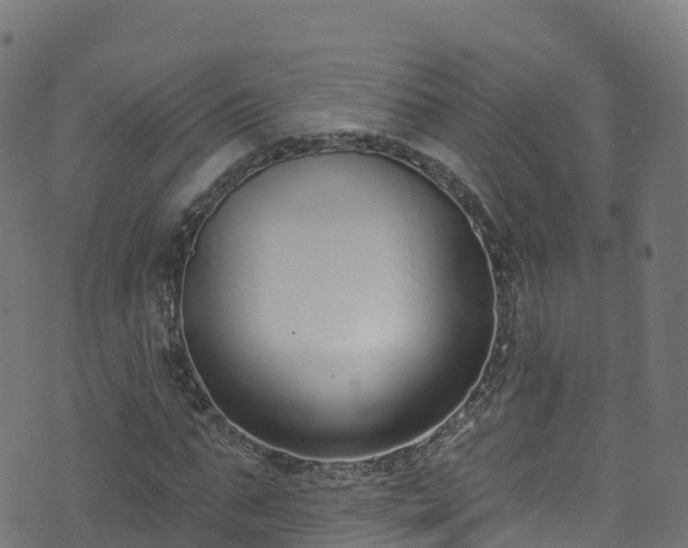 X0000070880871200606231340