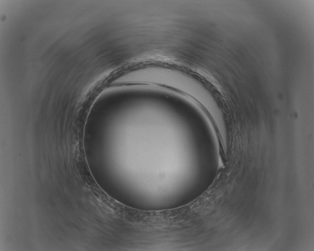 X0000070880872200606231340