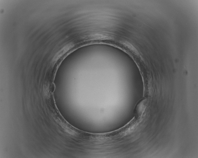 X0000070880873200606231340