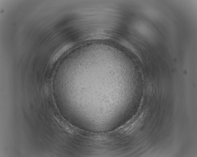 X0000070880874200606231340