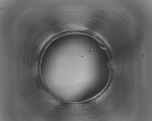 X0000070880875200606231340