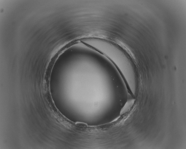 X0000070880876200606231340