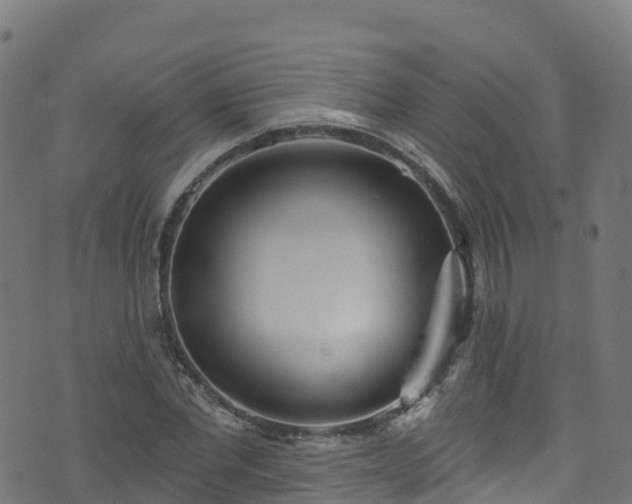 X0000070880877200606231340