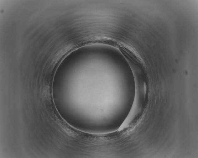 X0000070880881200606231340