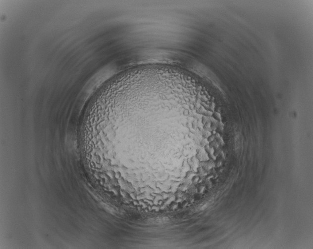 X0000070880882200606231340