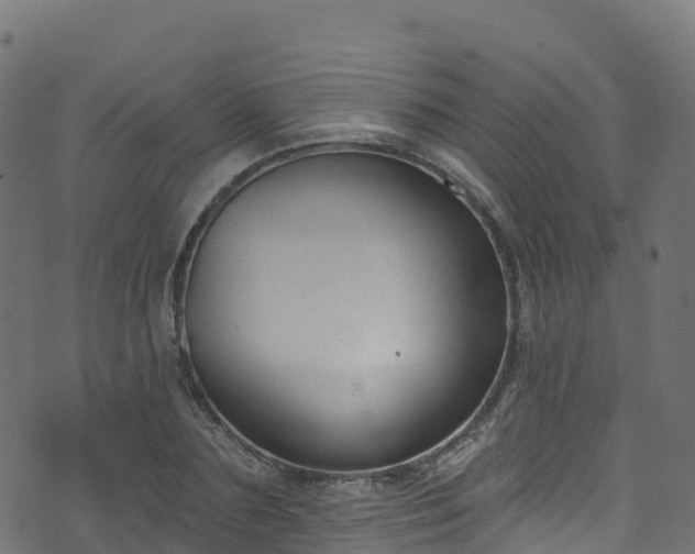 X0000070880883200606231340