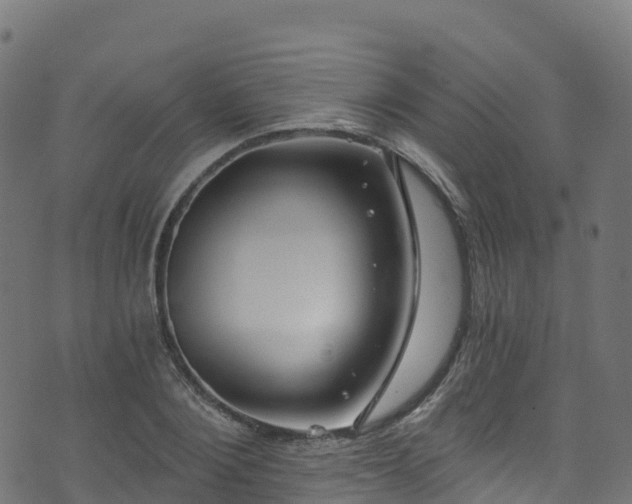 X0000070880884200606231340