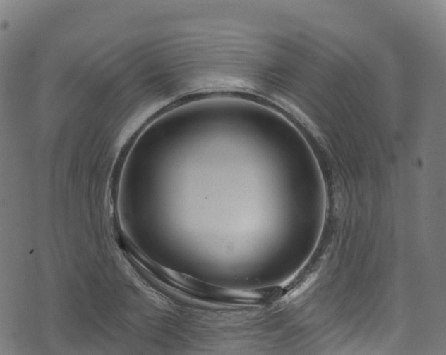 X0000070880885200606231340