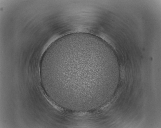 X0000070880886200606231340