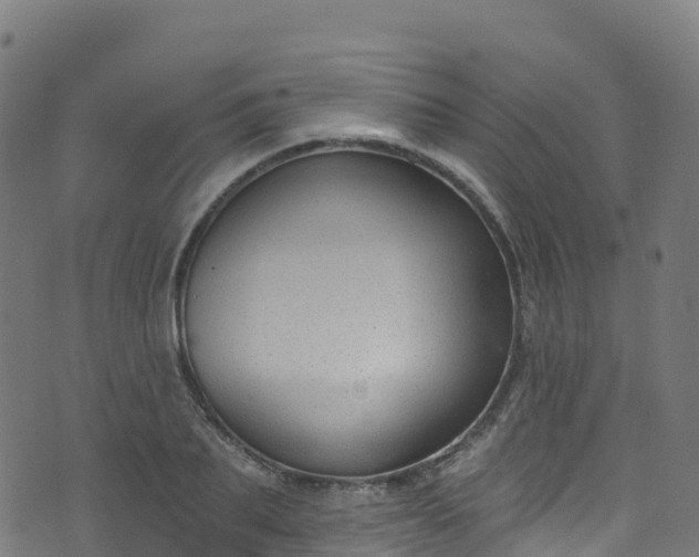 X0000070880887200606231340