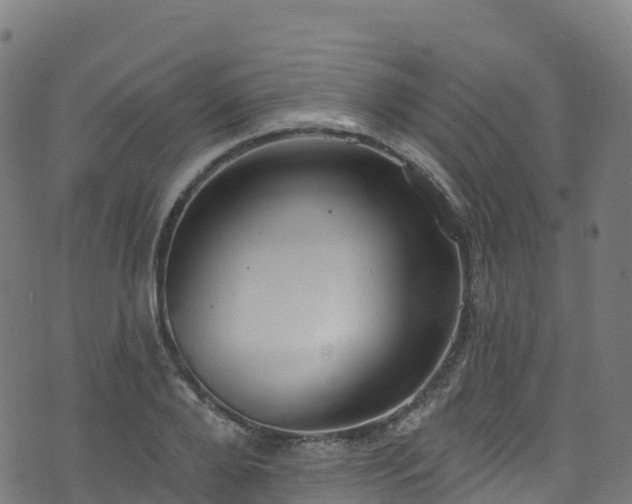 X0000070880888200606231340