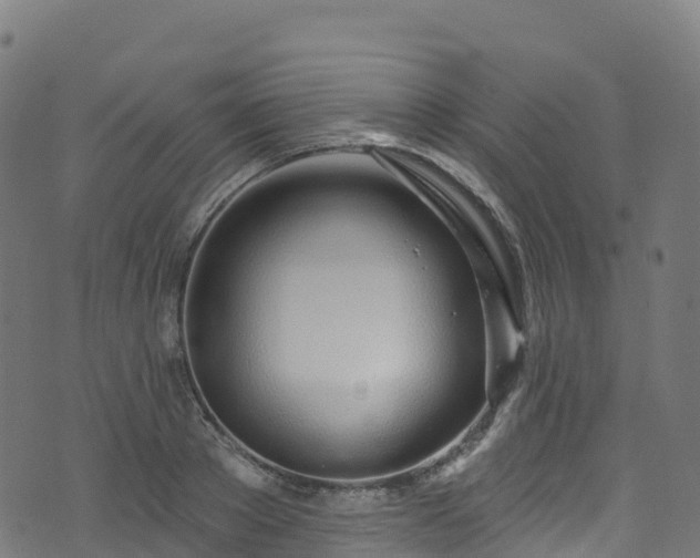 X0000070880889200606231340