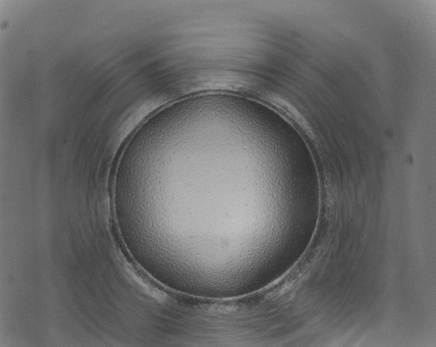 X0000070880890200606231340