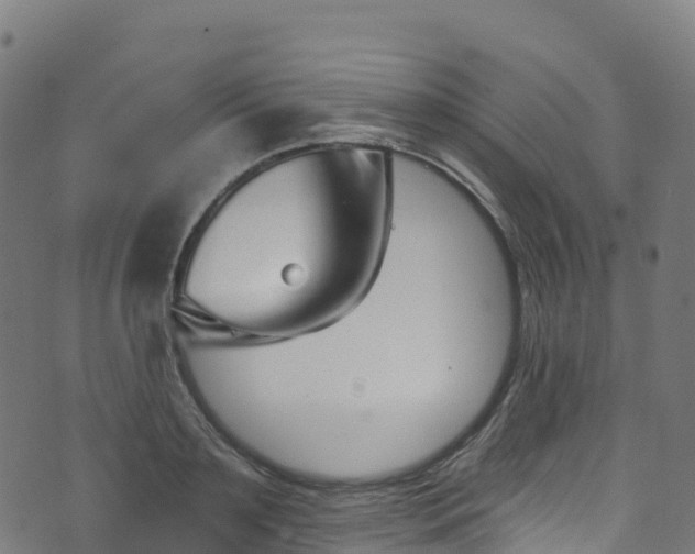 X0000070880891200606231340