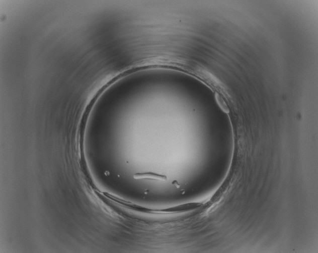 X0000070880892200606231340