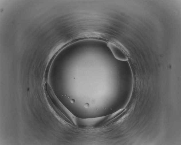 X0000070880893200606231340