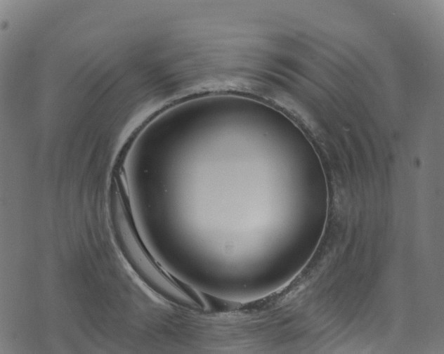 X0000070880894200606231340