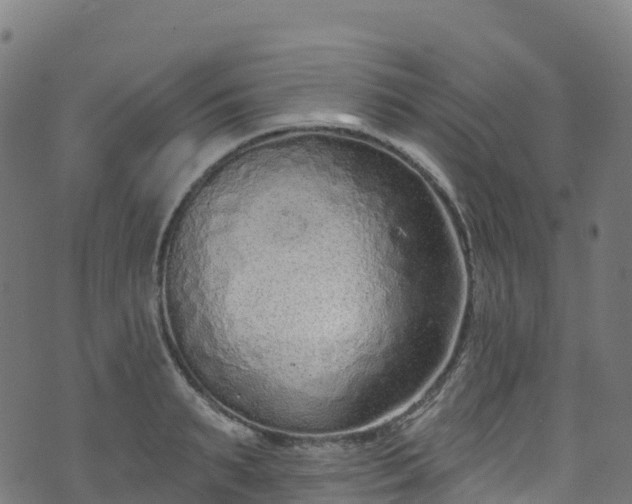 X0000070880895200606231340