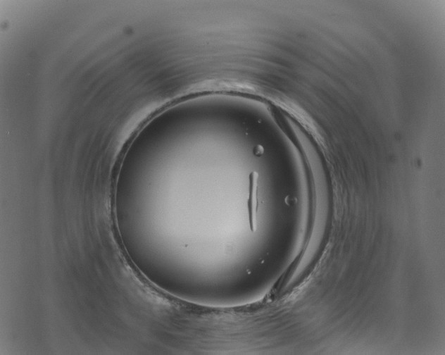 X0000070880896200606231340