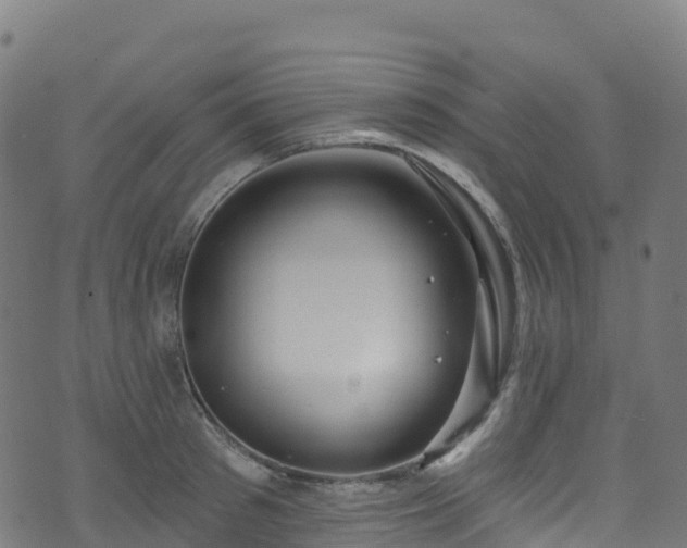 X0000070880897200606231340