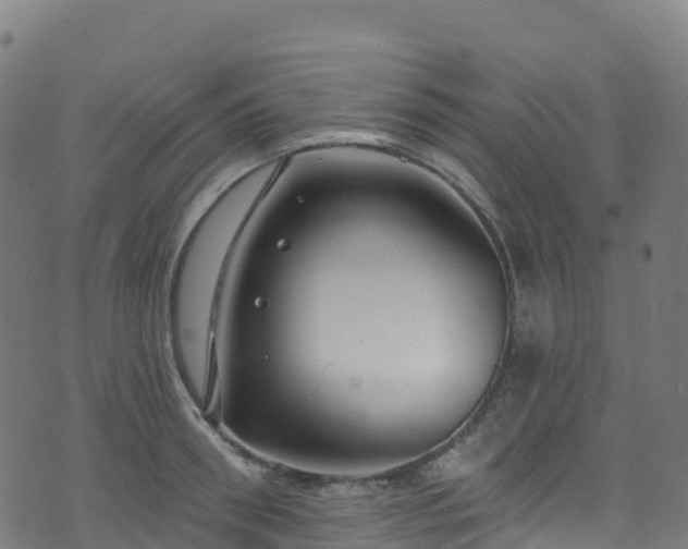 X0000070880898200606231340