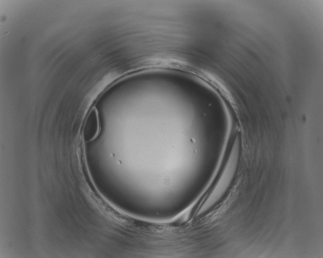 X0000070880899200606231340