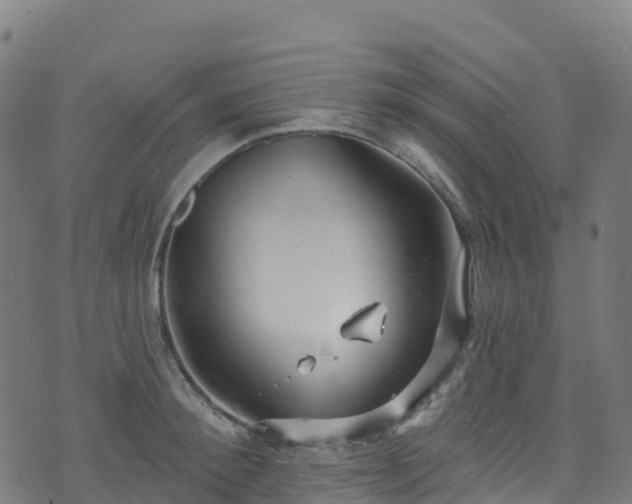 X0000070880900200606231340