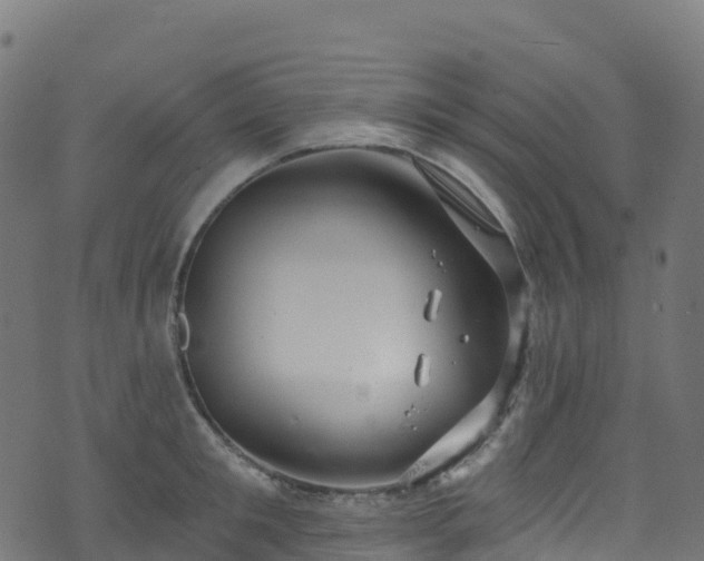 X0000070880901200606231340