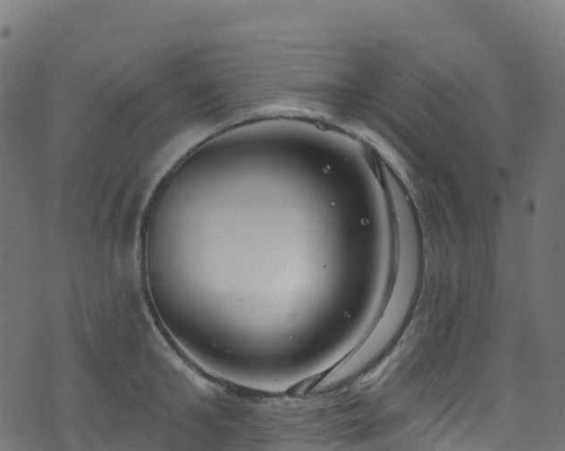 X0000070880902200606231340