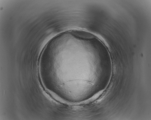 X0000070880903200606231340