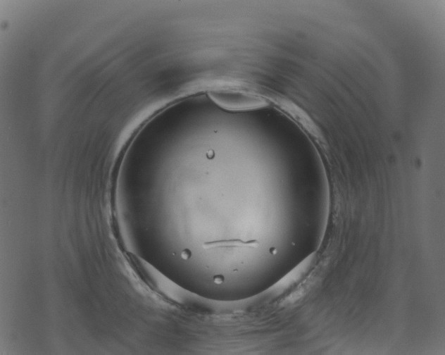 X0000070880904200606231340