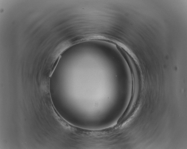 X0000070880905200606231340