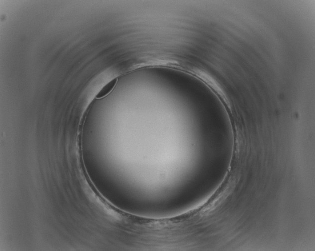 X0000070880906200606231340