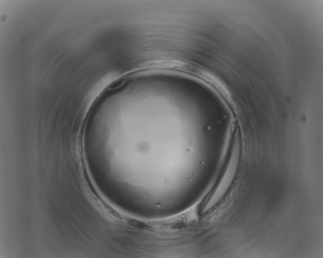 X0000070880907200606231340