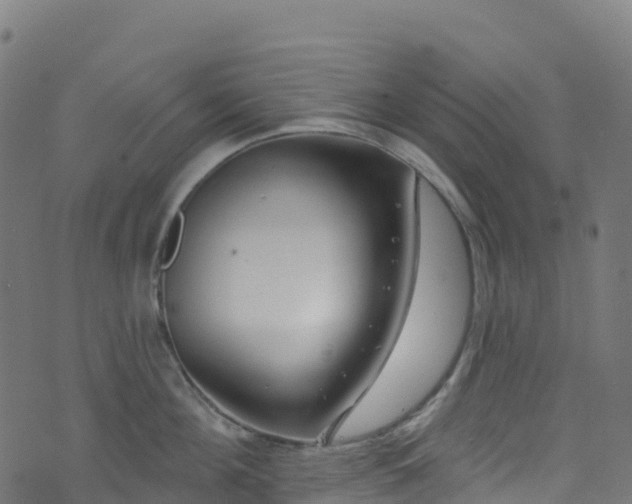 X0000070880908200606231340