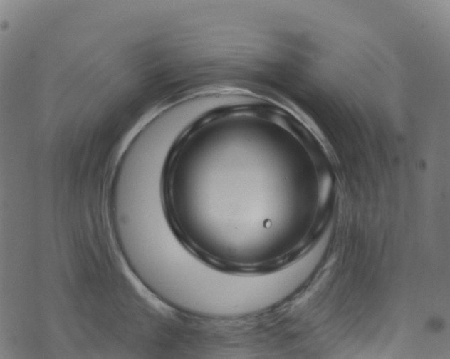 X0000070880909200606231340