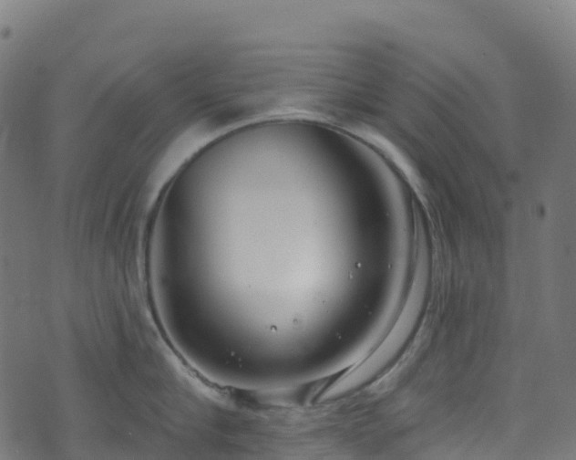 X0000070880910200606231340