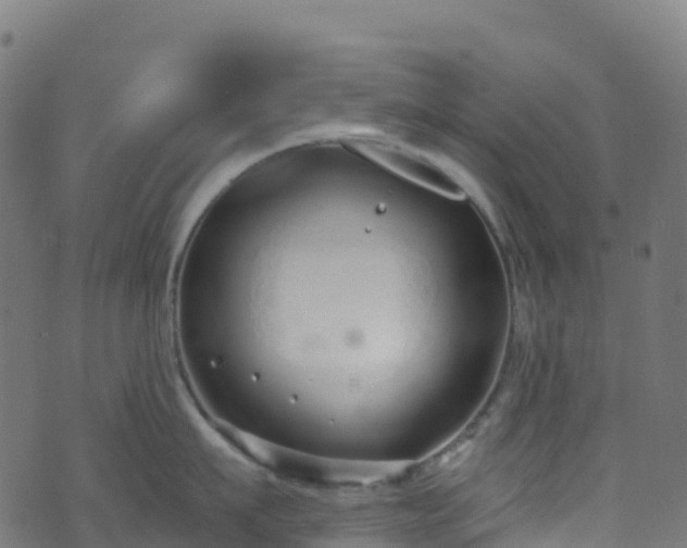 X0000070880911200606231339