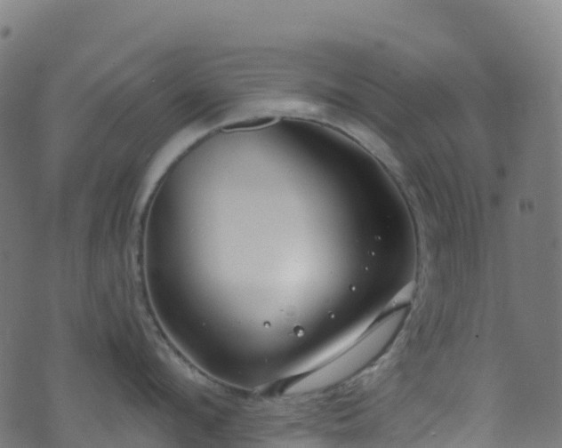 X0000070880912200606231339