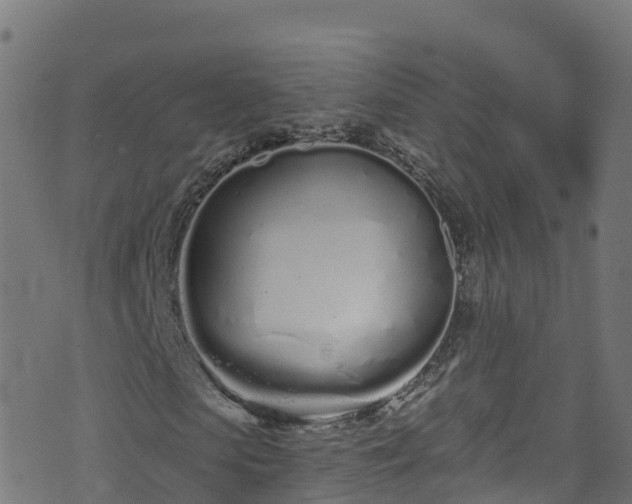 X0000070880913200606231339