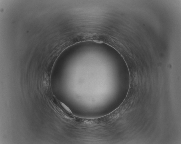 X0000070880914200606231339