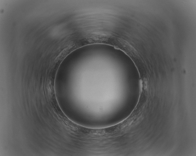 X0000070880915200606231339