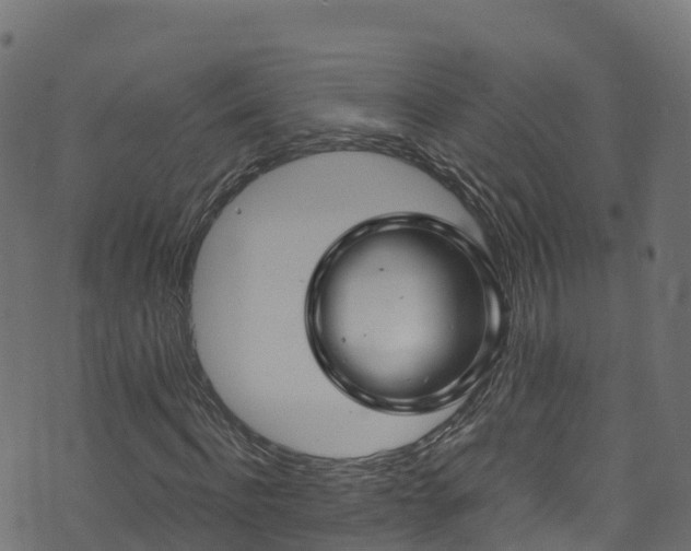 X0000070880916200606231339