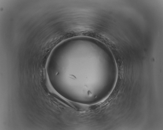 X0000070880917200606231339