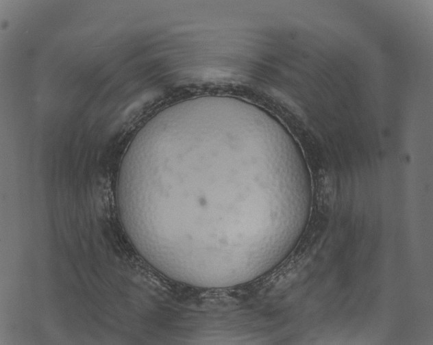 X0000070880918200606231339