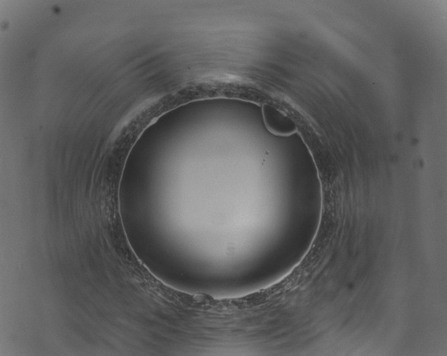 X0000070880919200606231339