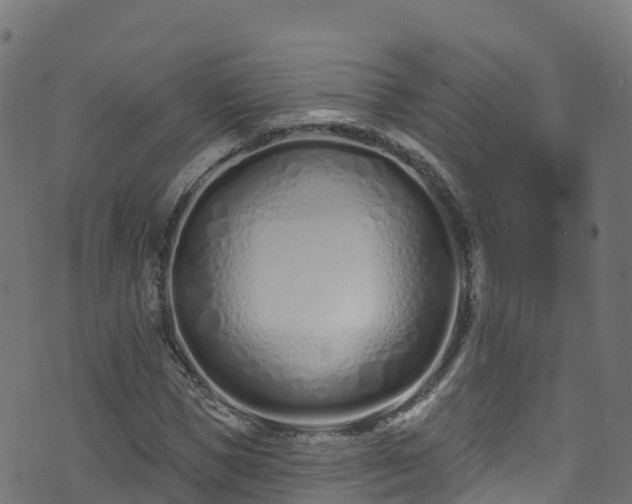 X0000070880921200606231339